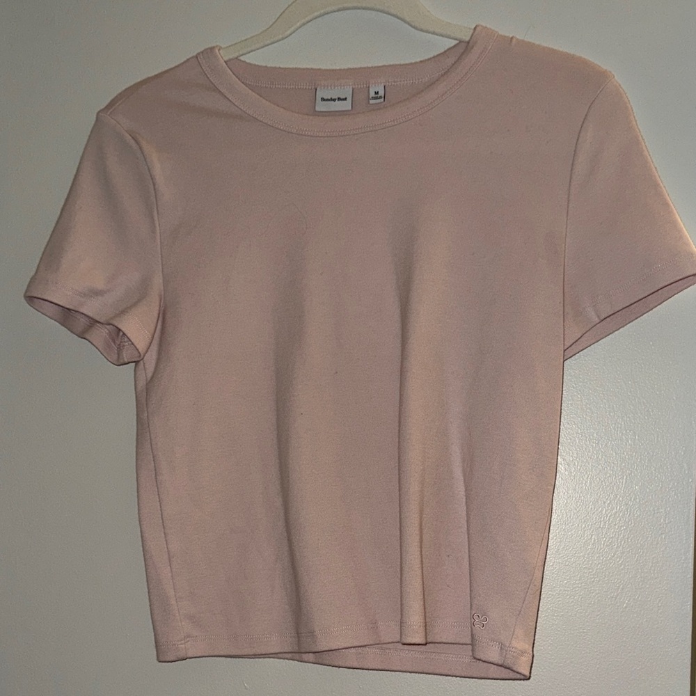 Aritzia Short Sleeve Crewneck Tee in Light Pink